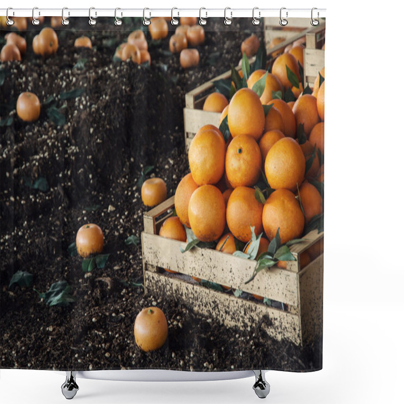 Personality  Fresh Oranges In The Wooden Box Shower Curtains