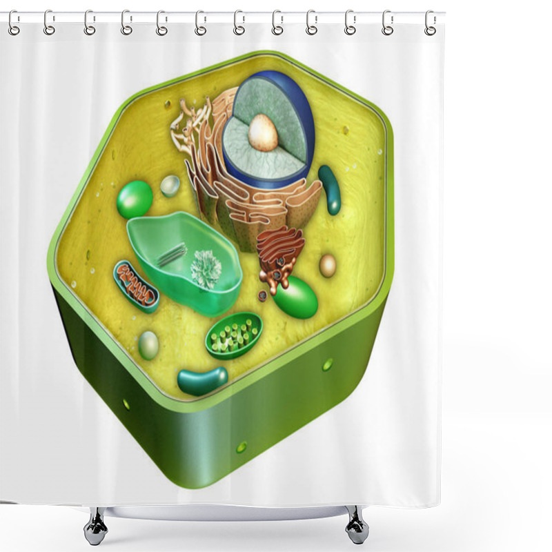 Personality  Plant Cell Structure Shower Curtains