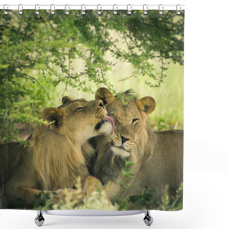 Personality  Loving Pair Of Lion And Lioness Shower Curtains