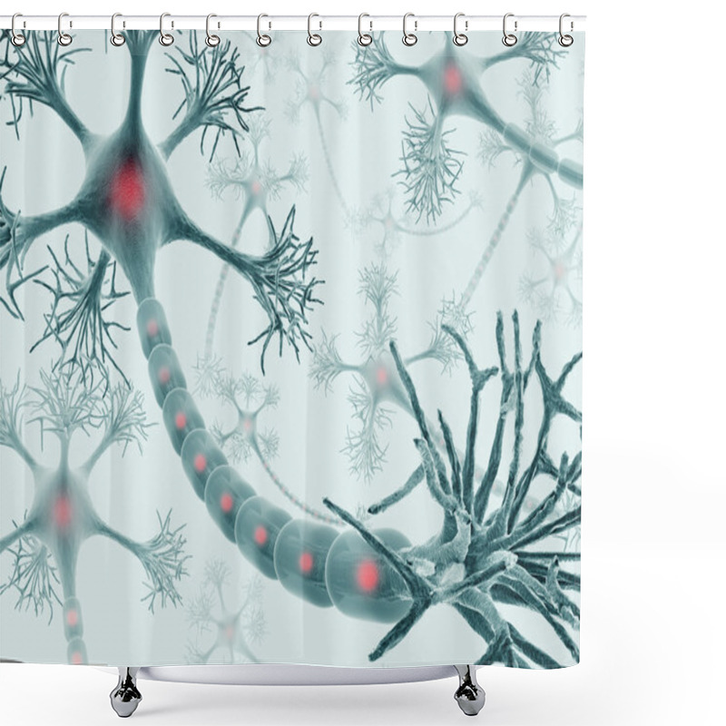 Personality  Brain With Nervous System And Neuron Shower Curtains