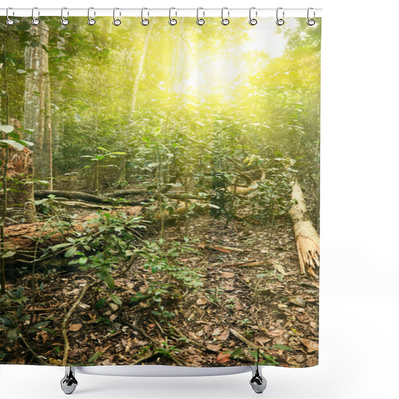 Personality  Sunlight In Tropical Jungle Forest Shower Curtains