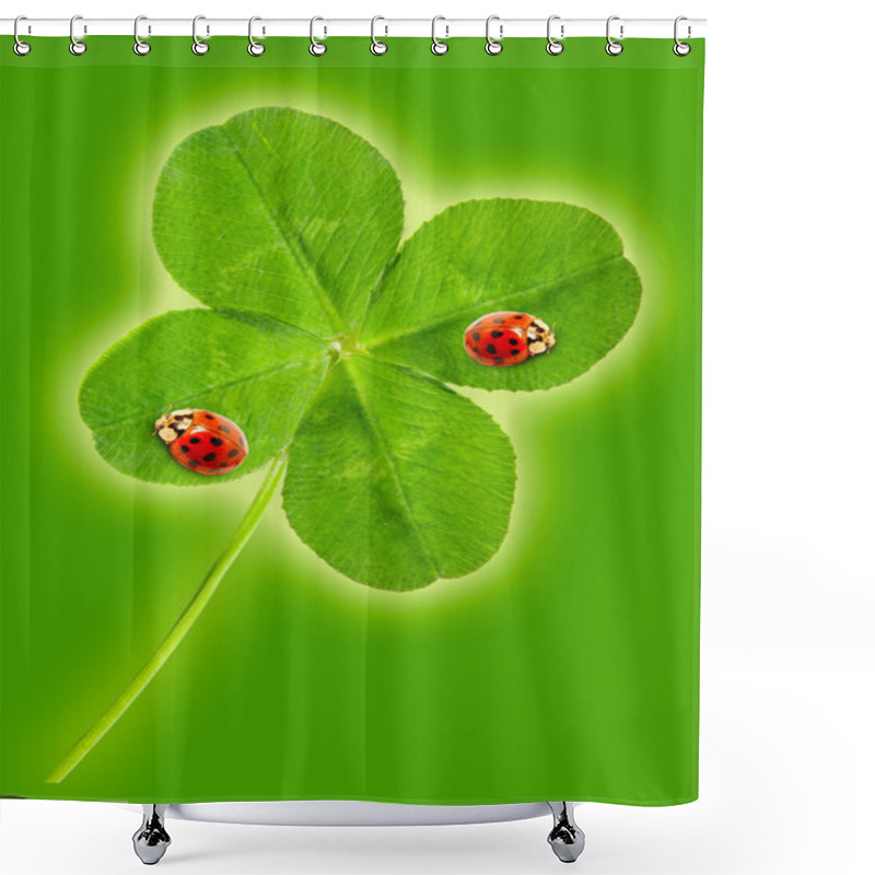 Personality  Quarter-foil With Ladybugs Shower Curtains