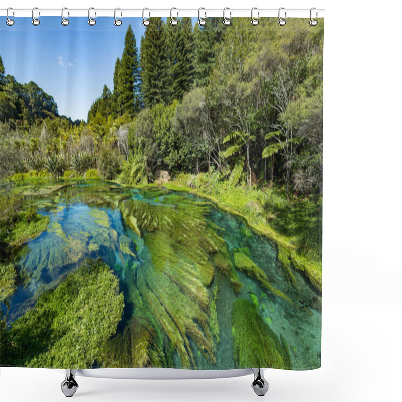 Personality  Beautiful Blue Water Of Blue Spring Te Waihou Walkway In New Zealand Shower Curtains