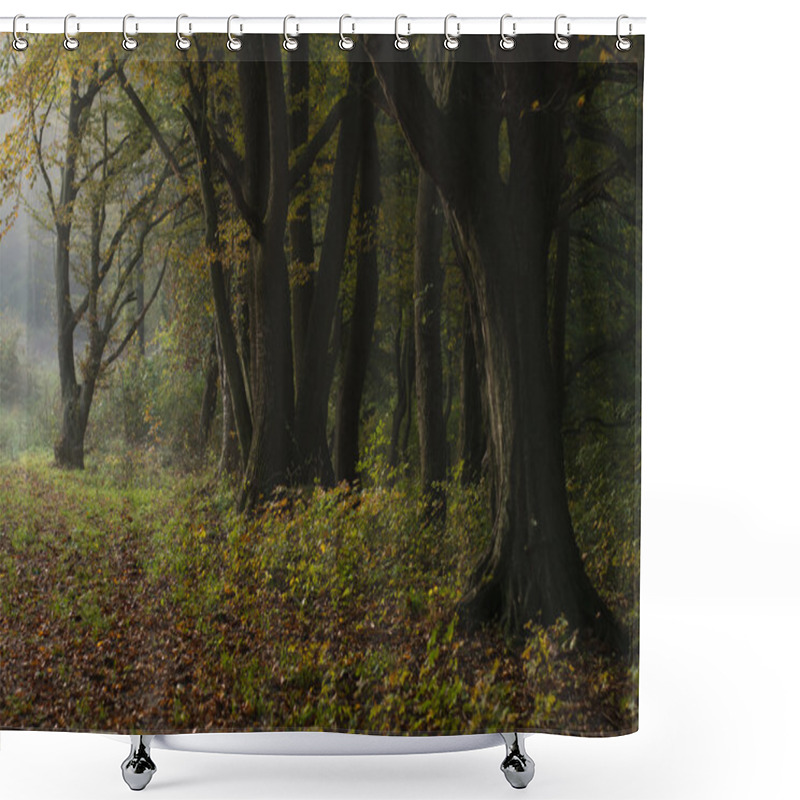 Personality  Autumn Forest Shower Curtains