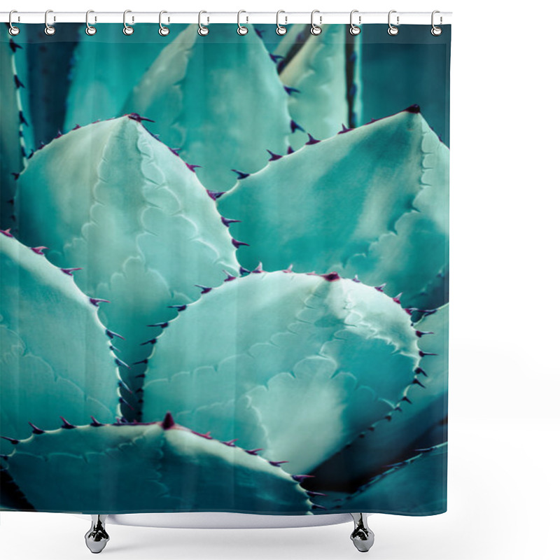 Personality  Sharp Pointed Agave Plant Leaves Bunched Together. Shower Curtains