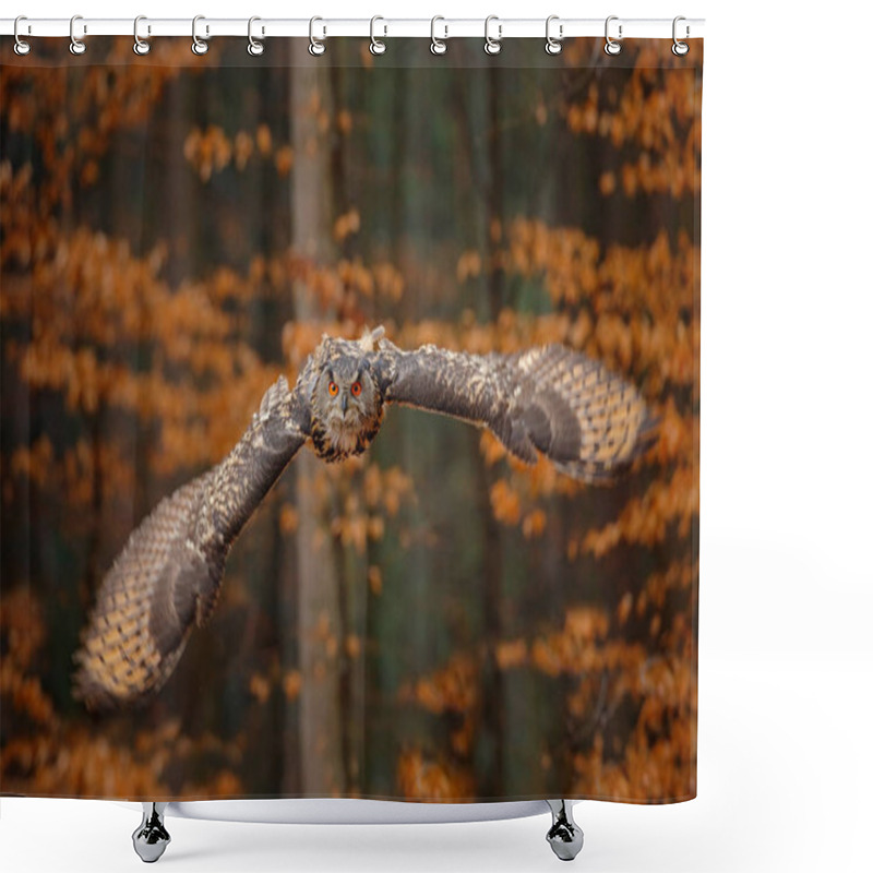 Personality  Eurasian Eagle Owl With Opened Wings In Flight With Dark Autumn Orange Forest On Background In Evening Sunset  Shower Curtains