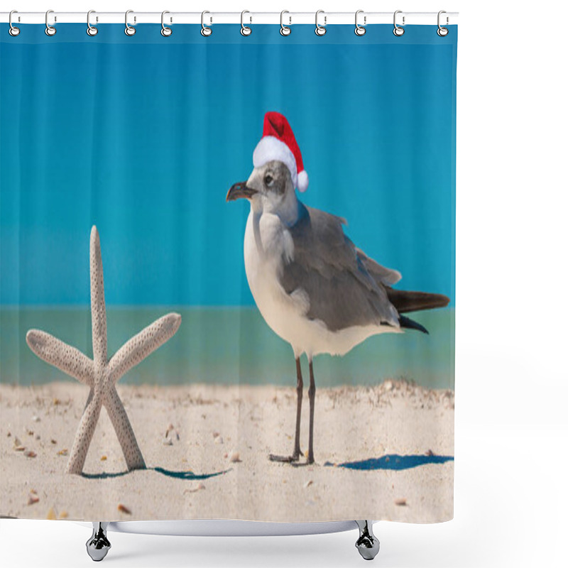 Personality  Starfish And Seagull On The Beach. Christmas Seagull In Red Santa Or Snowman Hat At Sunny Beach. Holiday Concept For Happy New Year Post Cards. Florida Winter. Ocean Or Gulf Of Mexico. Tropical Nature Shower Curtains