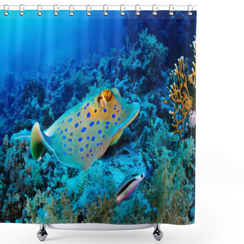 Personality  Bluespotted Ray Swim Shower Curtains