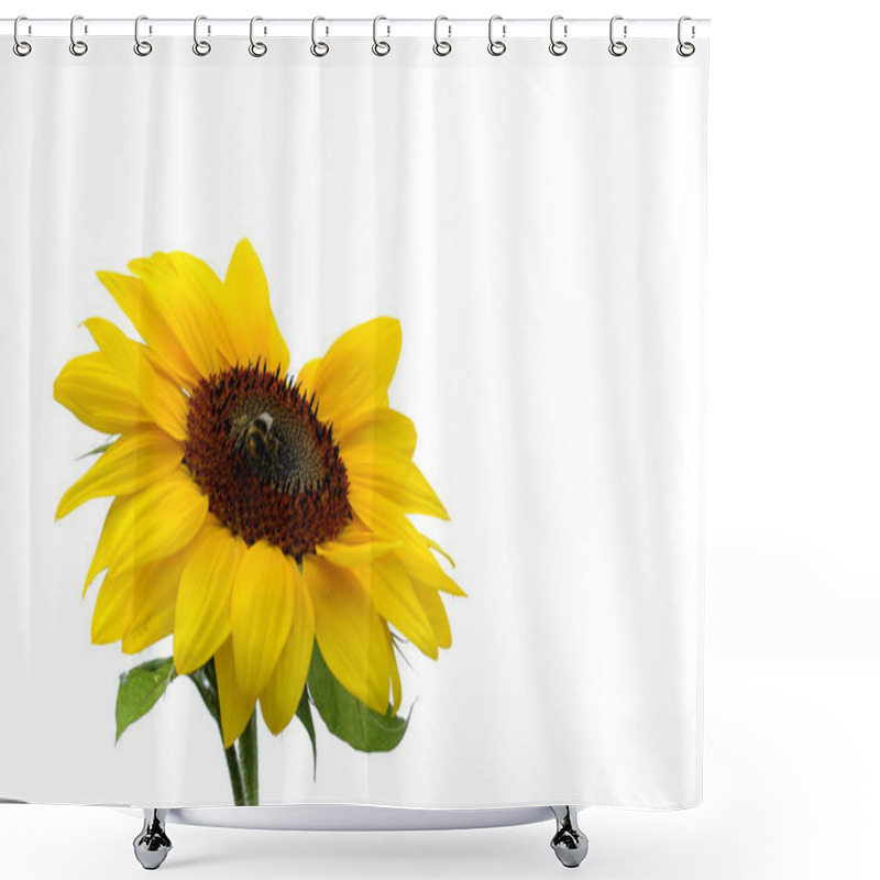 Personality  Sunflower Close Up View Shower Curtains