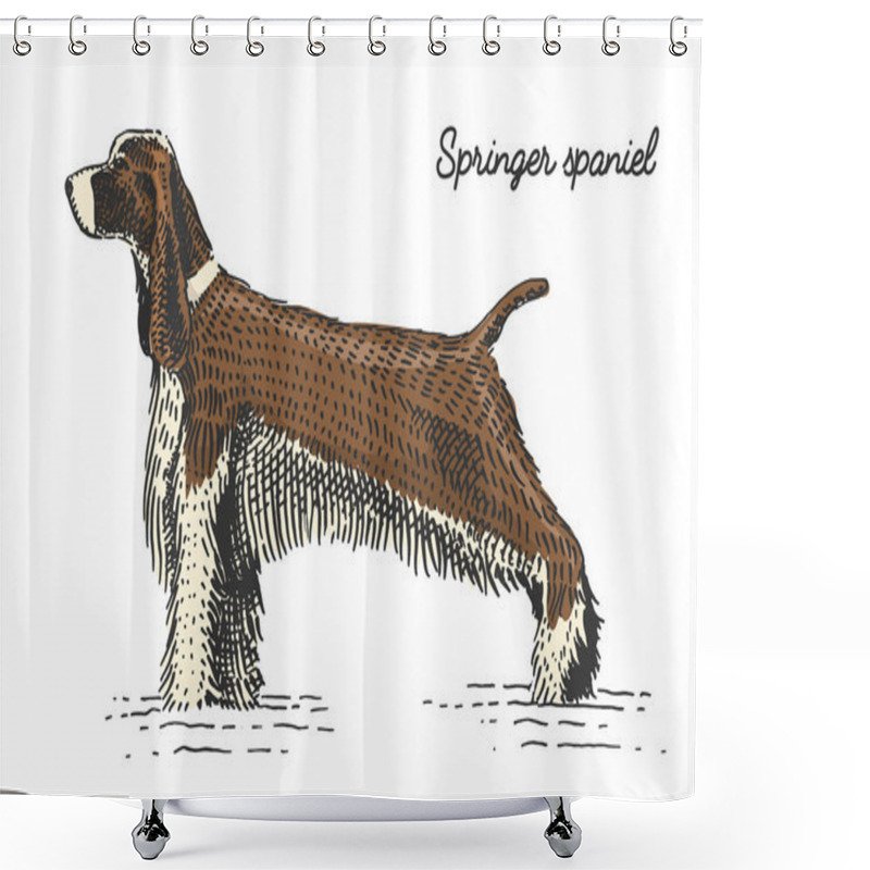 Personality  Dog Breed Engraved, Hand Drawn Vector Illustration In Woodcut Scratchboard Style, Vintage Species. Shower Curtains