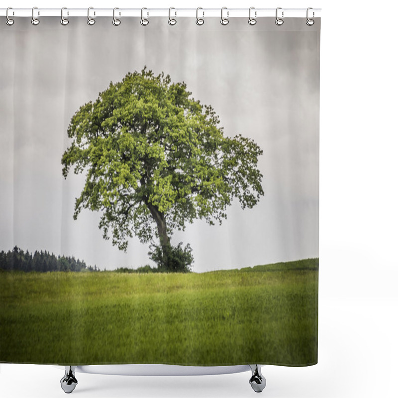 Personality  Lonely Tree Shower Curtains