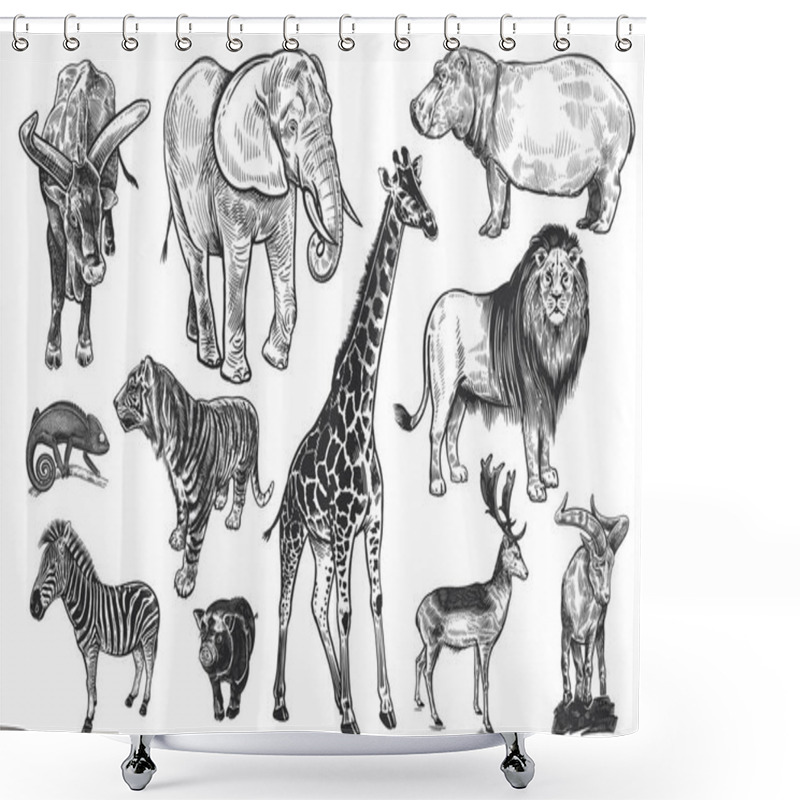 Personality  Animals Of Wildlife Set. Lion, Elephant, Giraffe, Tiger, Hippo, Zebra, Chameleon, Deer, Mountain Goat, Wild Pig And Big-horned Cow. Black And White Illustration. Vector. Vintage. Realistic Graphics. Shower Curtains