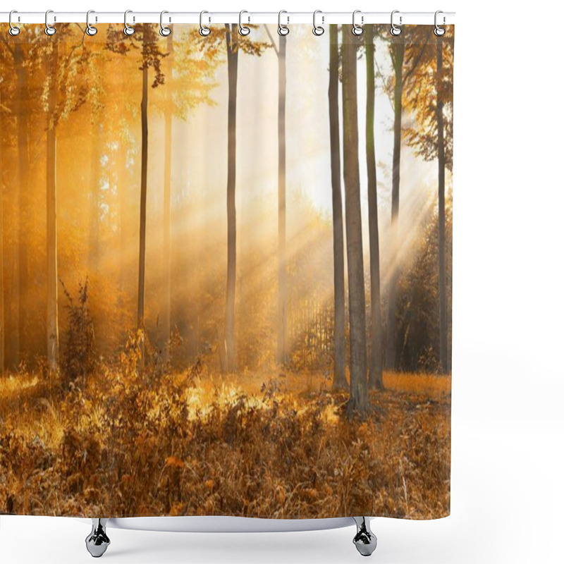 Personality  Beautiful Morning In Autumn Forest Shower Curtains