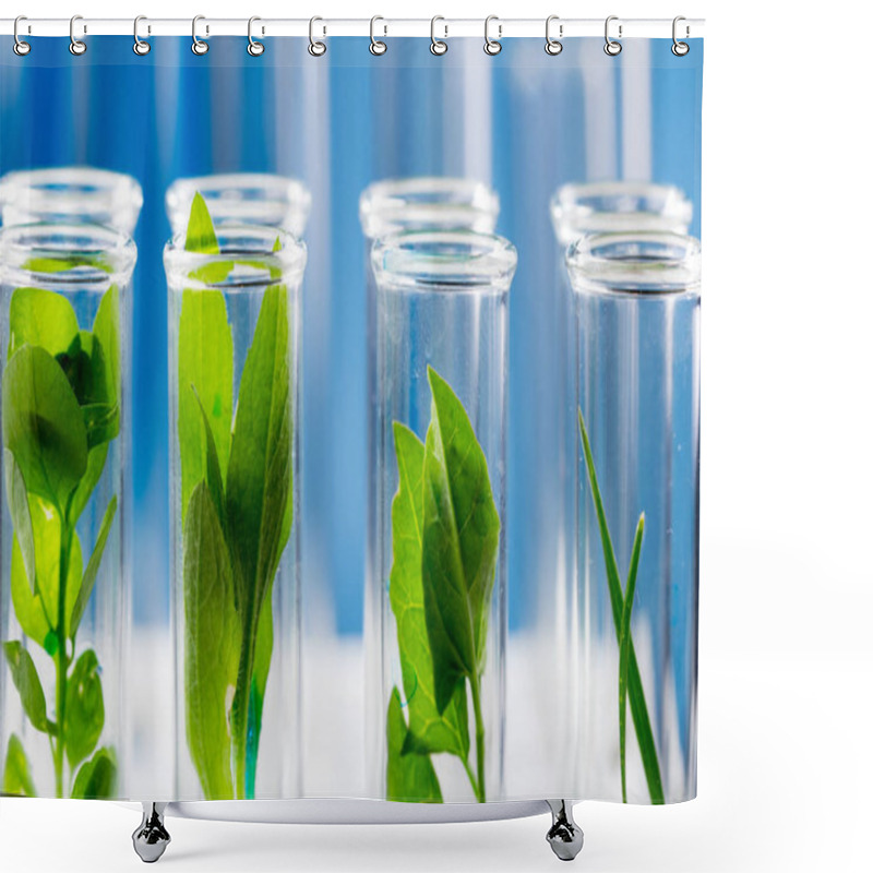 Personality  Green Fresh Plants Grown Up In Test Tubes In Laboratory. Shower Curtains