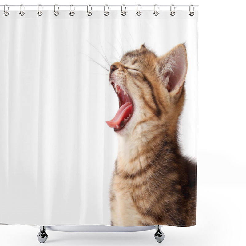 Personality  Roaring Kitten Shower Curtains