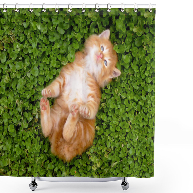 Personality  Tiny Red Kitten Outdoors Portrait Shower Curtains