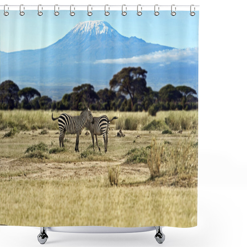 Personality  Zebra In The Masai Mara Shower Curtains