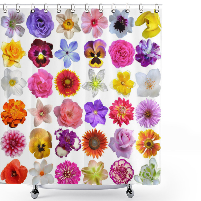 Personality  Big Selection Of Various Flowers Isolated On White Background Shower Curtains