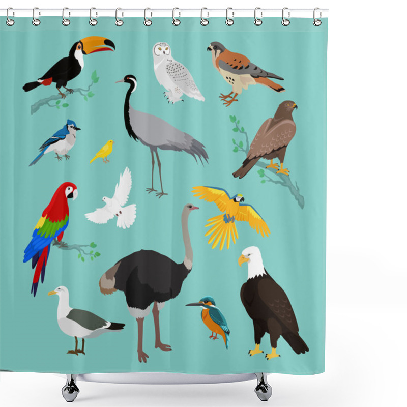 Personality  Collection Of Various Birds Flat Design Shower Curtains