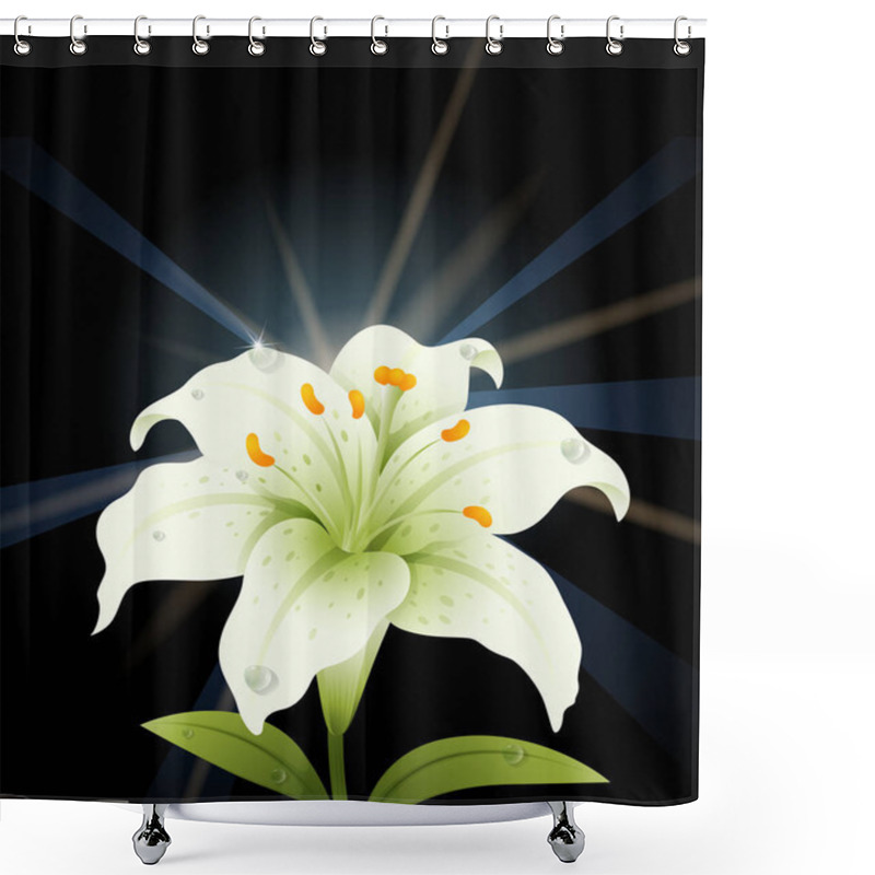 Personality  White Lily With Black Background Shower Curtains