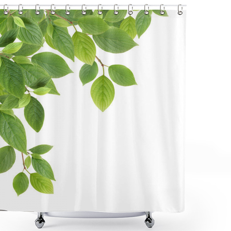 Personality  Green Leaves Border Shower Curtains