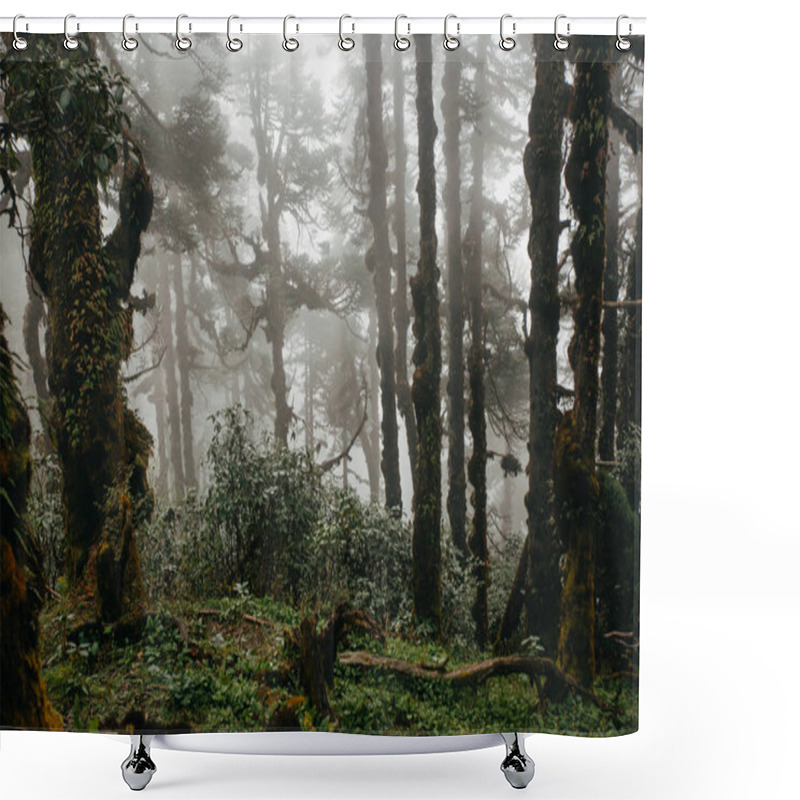 Personality  Forest In Fog In Nepal, Everst Area Shower Curtains