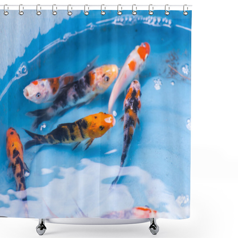 Personality  Beautiful Goldfishes In Pond Foe Sale  Shower Curtains