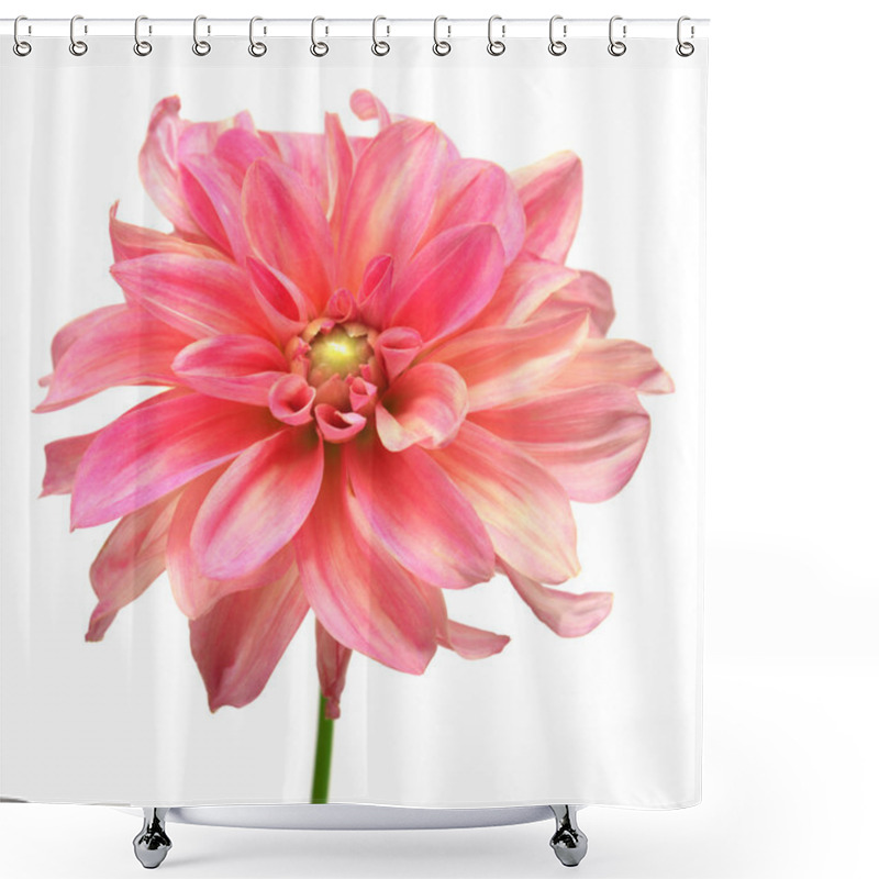 Personality  Pink Dahlia Shower Curtains