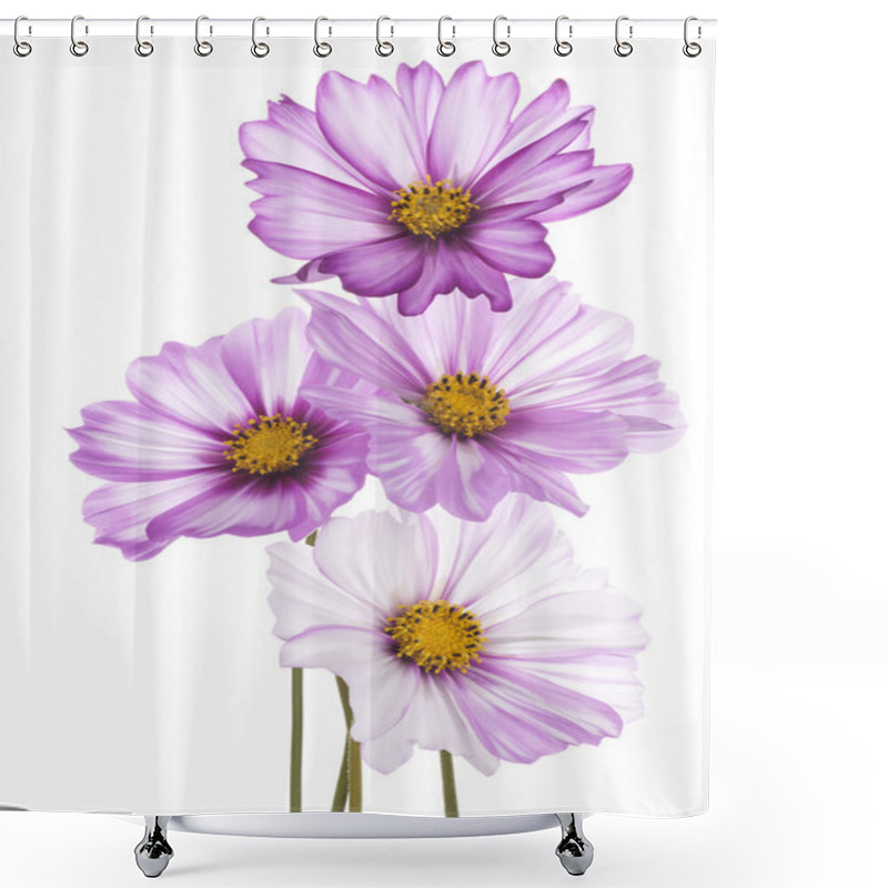 Personality  Cosmos Flower Shower Curtains