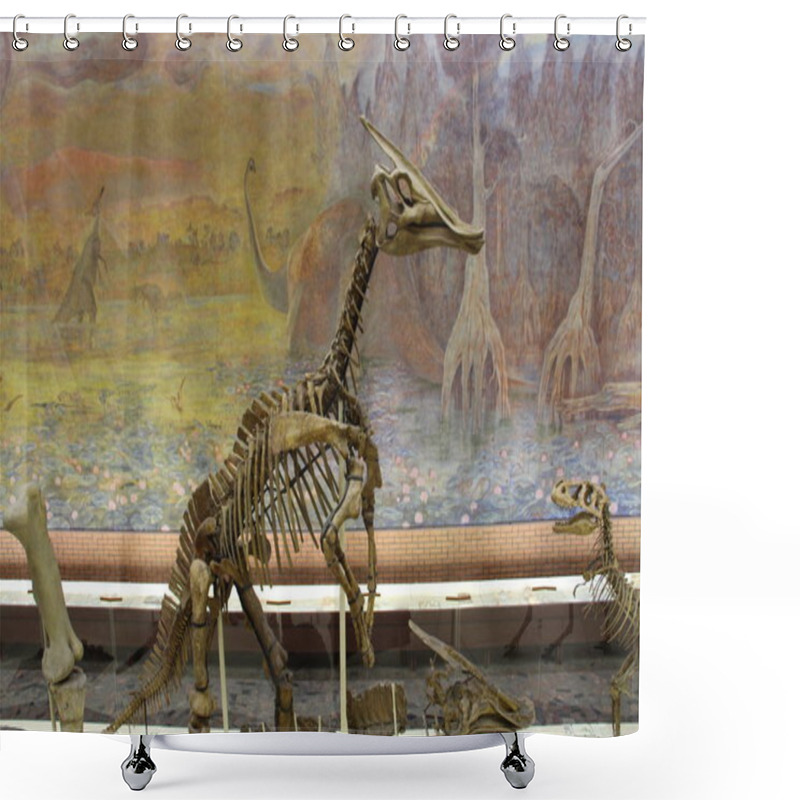 Personality  Paleontological Museum. Skulls And Skeletons Of Dinosaurs. Shower Curtains