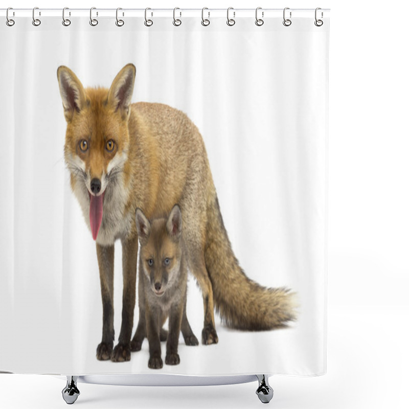 Personality  Mother Fox With Her Cub (7 Weeks Old) In Front Of A White Backgr Shower Curtains