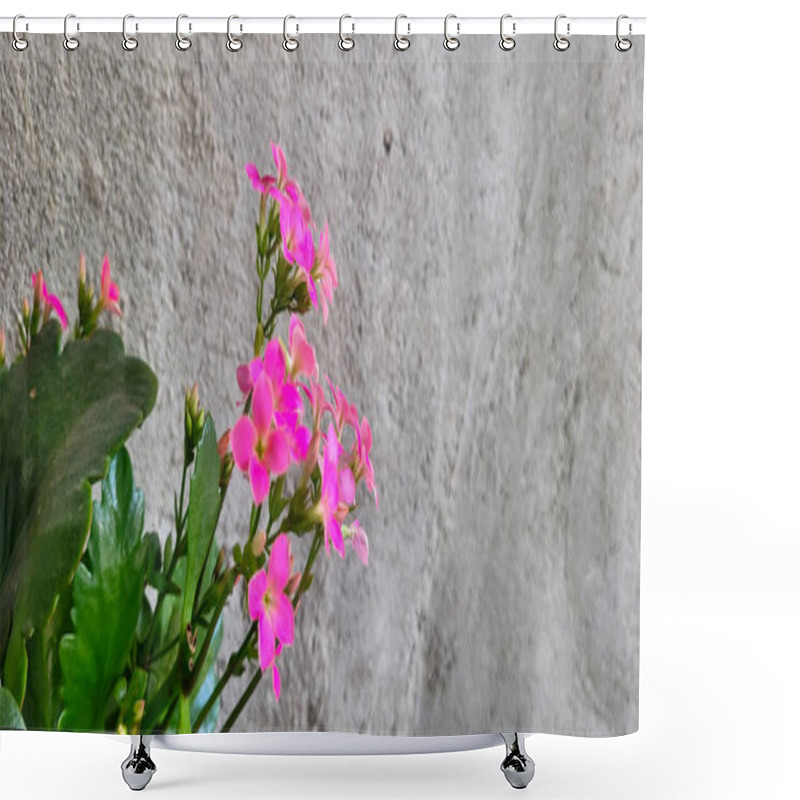 Personality  Pink Flowers With Rustic Wall Background Shower Curtains