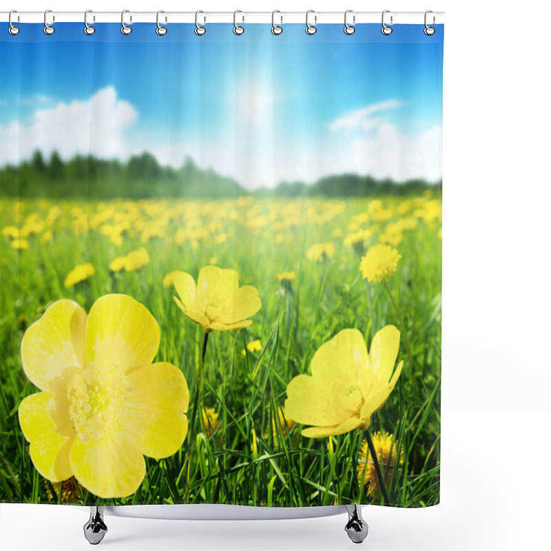 Personality  Field Of Spring Flowers Shower Curtains