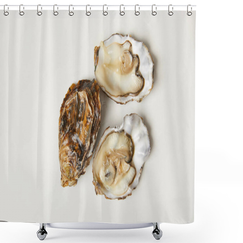 Personality  Open Fresh Oyster Clams Isolated On White Shower Curtains