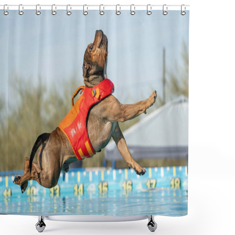 Personality  Red Stafforshire Terrier About To Land In A Swimming Pool While Wearing A Floatation Vest Shower Curtains