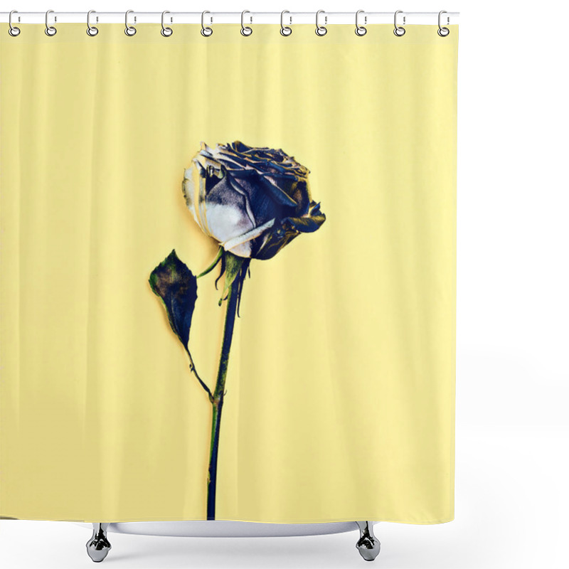 Personality  Minimalism Art. Burnt Rose. Dramatic Fashion Shower Curtains