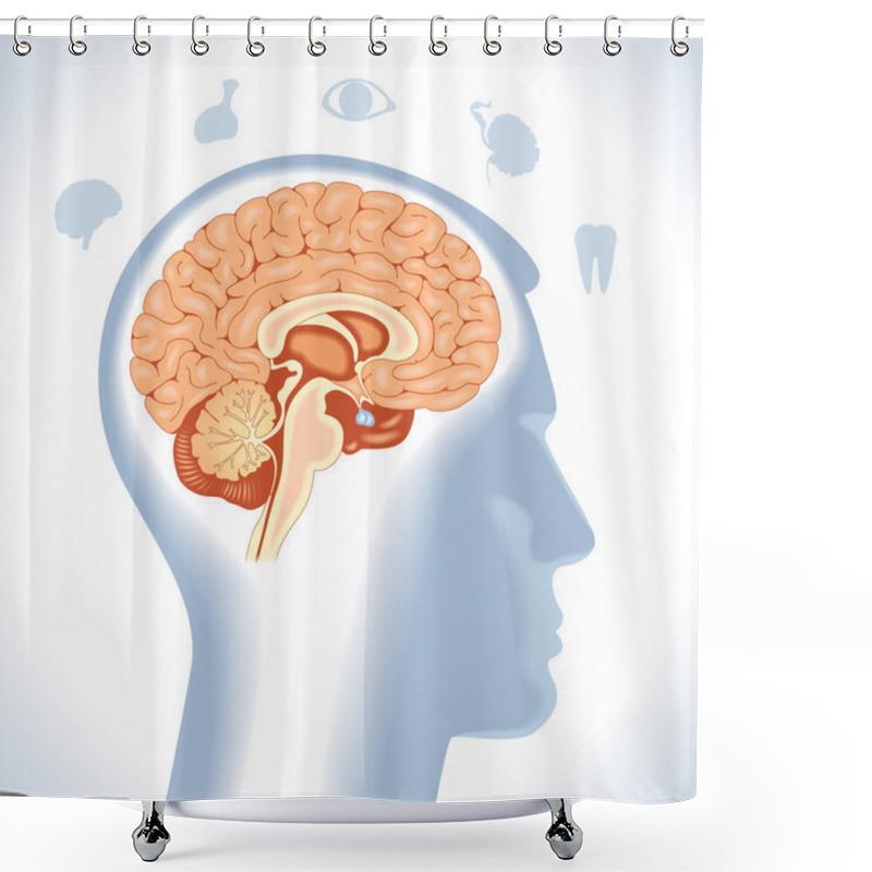 Personality  Pituitary. Modern Medical Infographics.  Shower Curtains