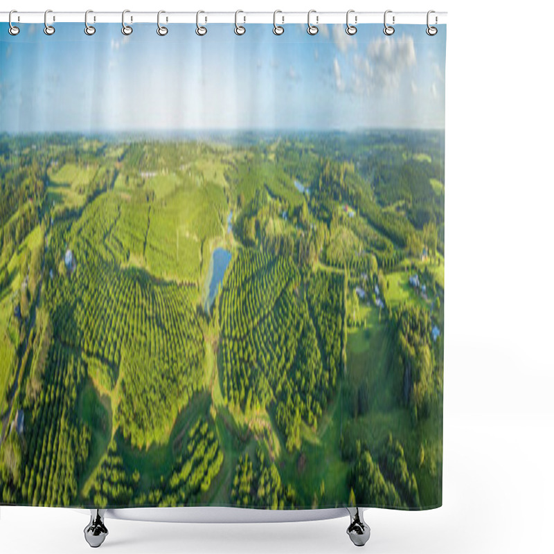 Personality  Beautiful Aerial Panorama Of Macadamia Farm And Countryside At Sunset. NSW, Australia Shower Curtains