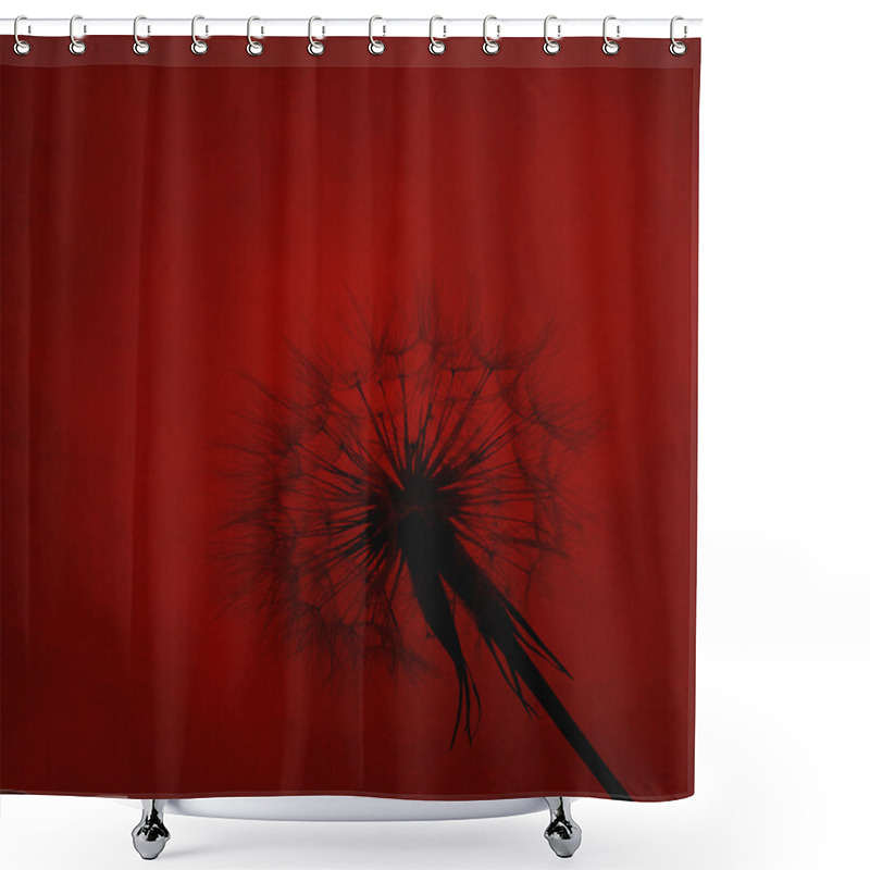 Personality  Dandelion Silhouette On Red Textured Background Shower Curtains