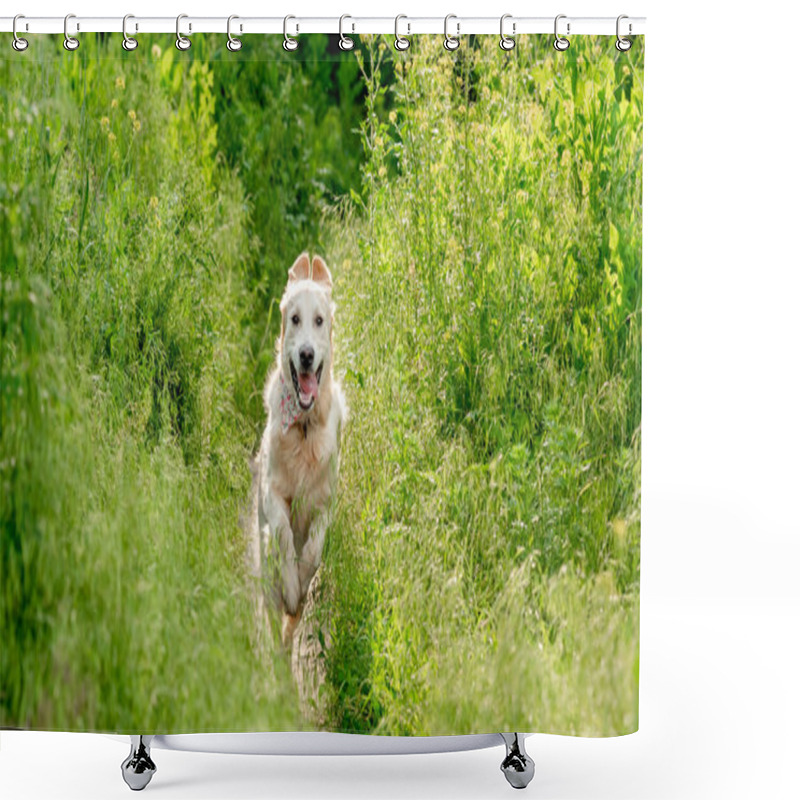 Personality  Nice Dog Running On Blooming Meadow Shower Curtains