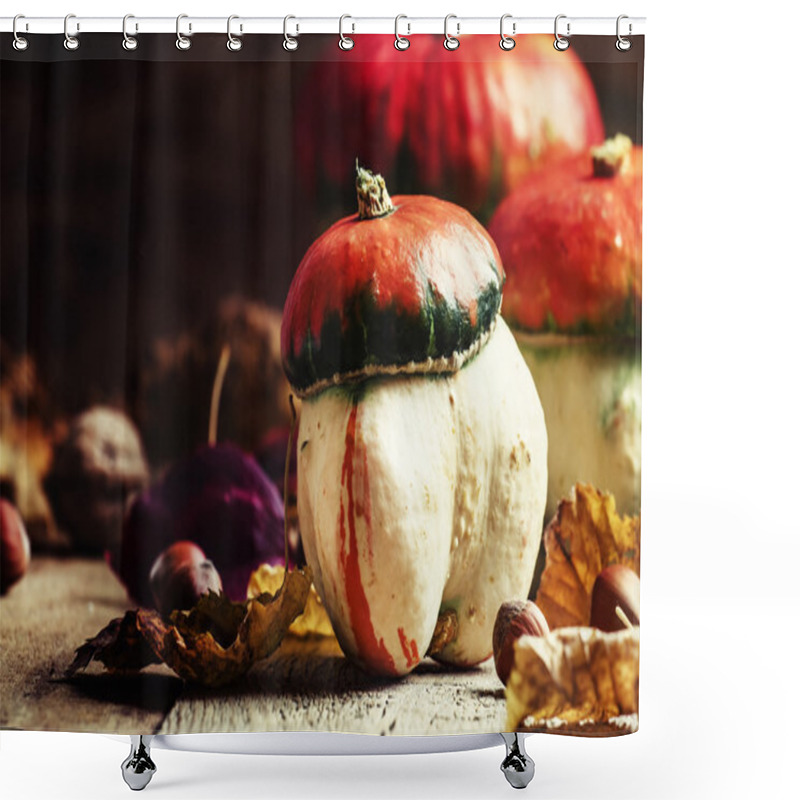 Personality  Autumn Concept. Decorative Pumpkins Mushrooms Shower Curtains