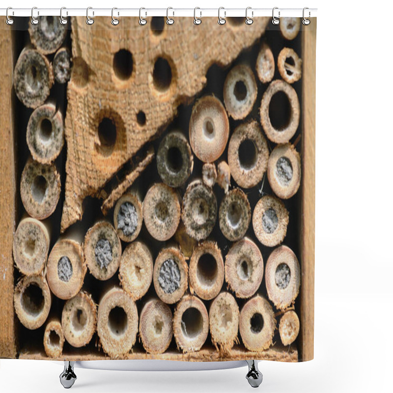 Personality  Insect Hotel Of Bamboo Sticks Shower Curtains