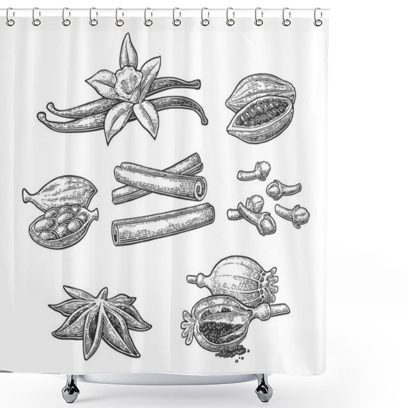 Personality  Set Of Spices. Anise, Cinnamon, Cocoa, Vanilla, Poppy Shower Curtains