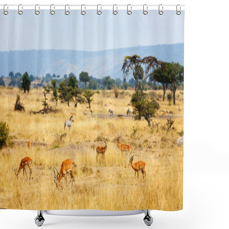 Personality  Impalas In Kenya Shower Curtains