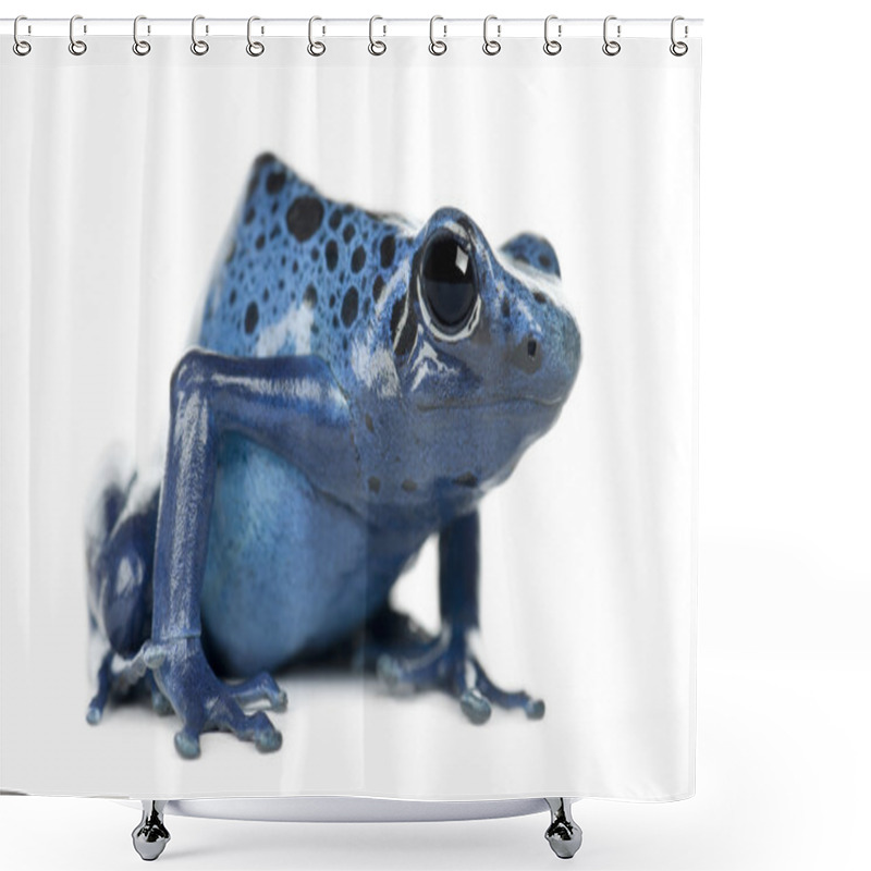 Personality  Blue And Black Poison Dart Frog Shower Curtains