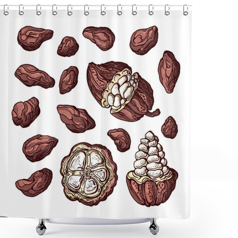 Personality  Cocoa Set. Vector Ingredient. Bean, Fruit In Cut  Shower Curtains