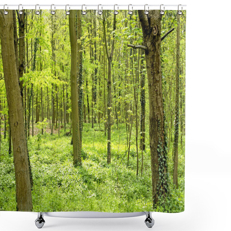 Personality  Les Mureaux; France - September 16 2017 : The Becheville Forest Shower Curtains