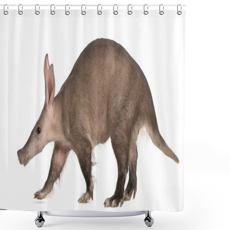 Personality  Aardvark, Orycteropus, 16 Years Old, Standing In Front Of White Background Shower Curtains