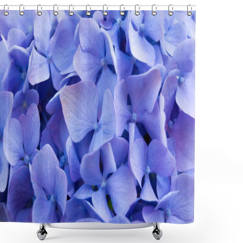 Personality  Violet Blossoms Shower Curtains