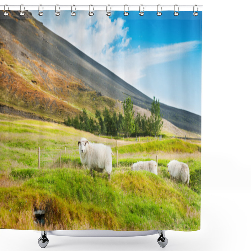 Personality  White Sheep On The Green Grass In The Mountains Shower Curtains